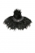 Vanity Feather Collar